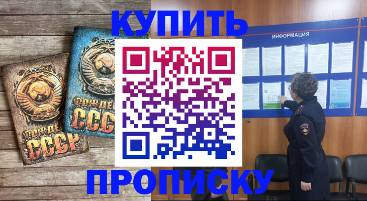 прописка для школы в Заринске